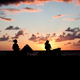 Illustration for article titled Shooting Challenge Silhouettes Gallery 3